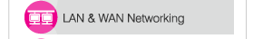 LAN and WAN networking